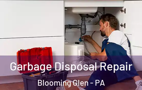  Garbage Disposal Repair Blooming Glen - PA