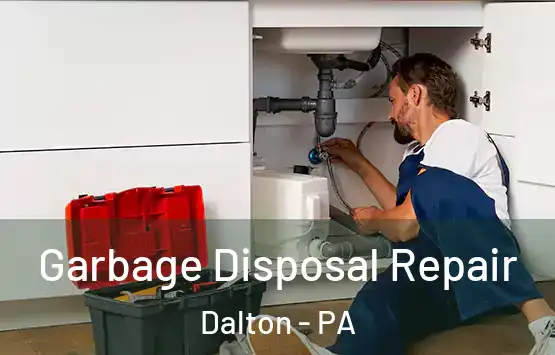  Garbage Disposal Repair Dalton - PA