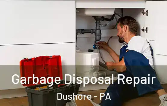  Garbage Disposal Repair Dushore - PA
