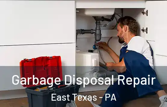  Garbage Disposal Repair East Texas - PA