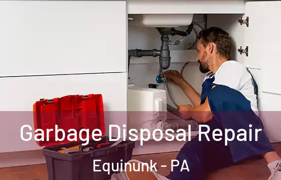  Garbage Disposal Repair Equinunk - PA