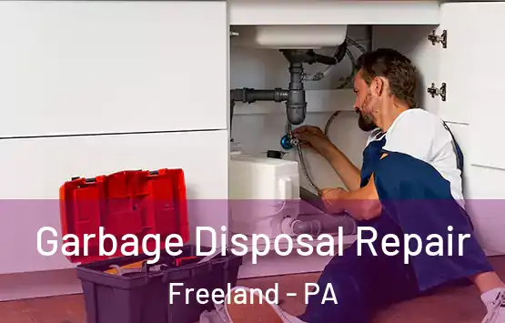  Garbage Disposal Repair Freeland - PA