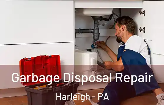  Garbage Disposal Repair Harleigh - PA