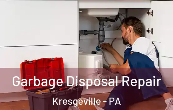  Garbage Disposal Repair Kresgeville - PA