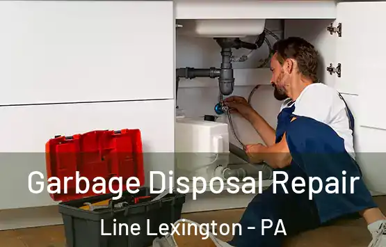  Garbage Disposal Repair Line Lexington - PA