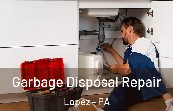  Garbage Disposal Repair Lopez - PA