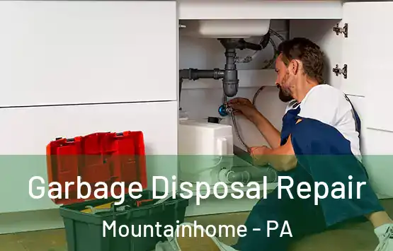  Garbage Disposal Repair Mountainhome - PA