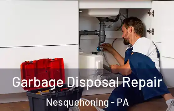  Garbage Disposal Repair Nesquehoning - PA