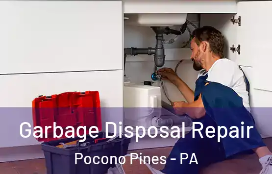  Garbage Disposal Repair Pocono Pines - PA