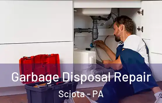  Garbage Disposal Repair Sciota - PA