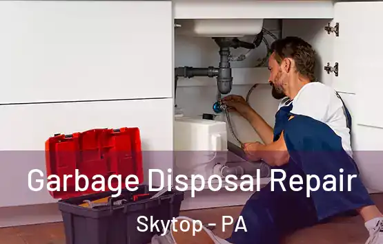  Garbage Disposal Repair Skytop - PA