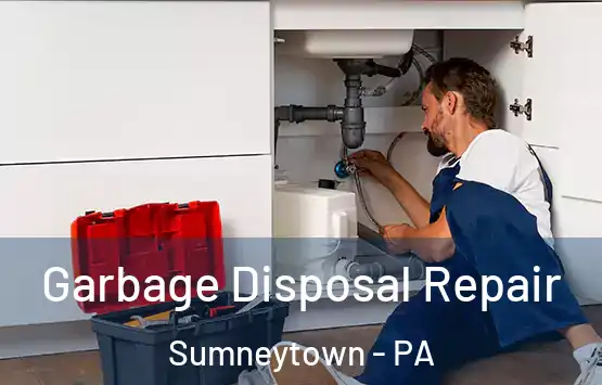  Garbage Disposal Repair Sumneytown - PA
