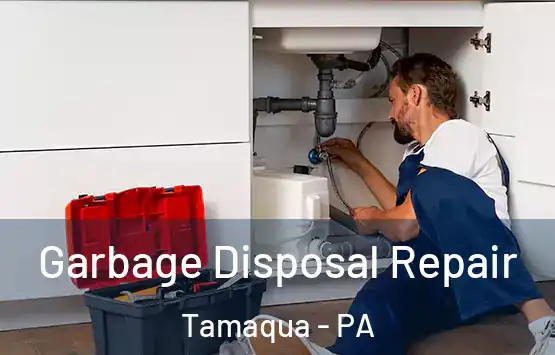  Garbage Disposal Repair Tamaqua - PA