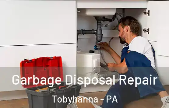 Garbage Disposal Repair Tobyhanna - PA