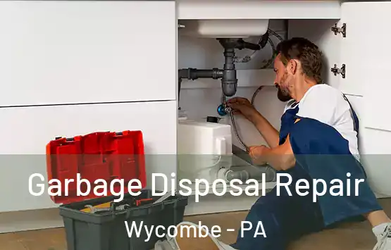  Garbage Disposal Repair Wycombe - PA