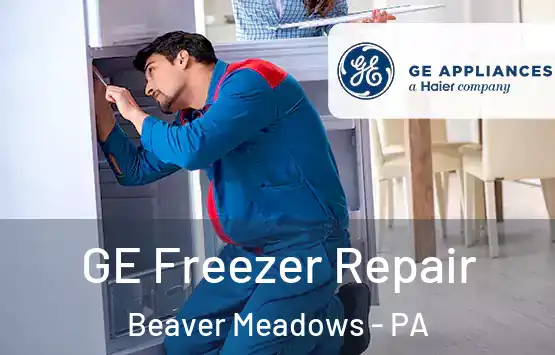  GE Freezer Repair Beaver Meadows - PA