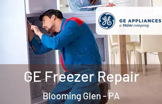  GE Freezer Repair Blooming Glen - PA