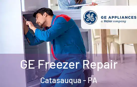  GE Freezer Repair Catasauqua - PA