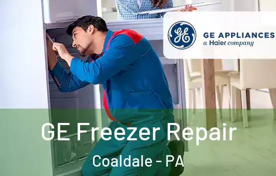  GE Freezer Repair Coaldale - PA