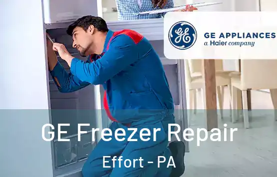  GE Freezer Repair Effort - PA