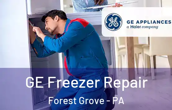  GE Freezer Repair Forest Grove - PA