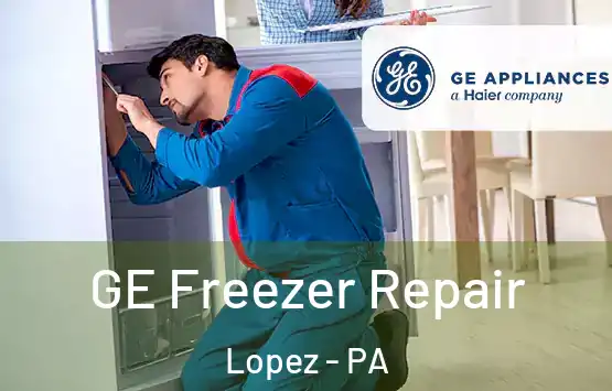  GE Freezer Repair Lopez - PA