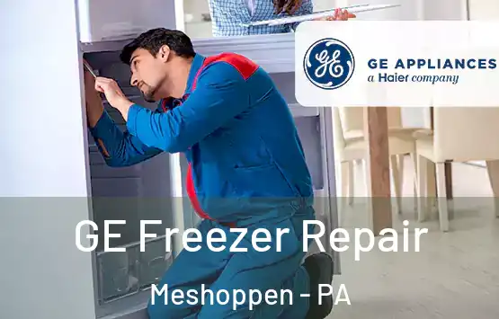  GE Freezer Repair Meshoppen - PA