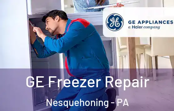  GE Freezer Repair Nesquehoning - PA