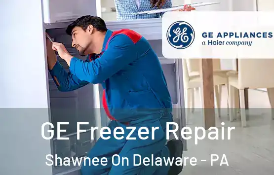  GE Freezer Repair Shawnee On Delaware - PA