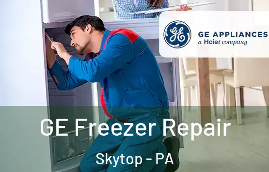  GE Freezer Repair Skytop - PA