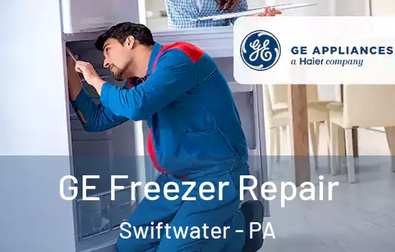  GE Freezer Repair Swiftwater - PA