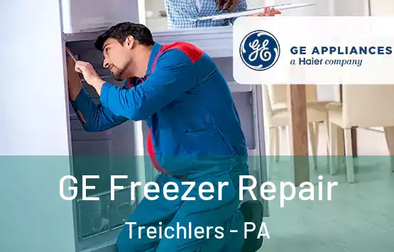  GE Freezer Repair Treichlers - PA