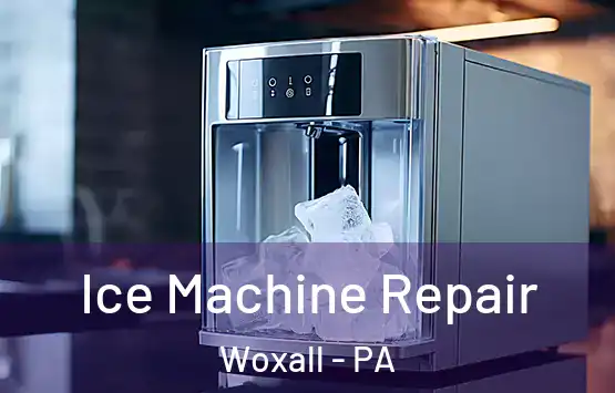  Ice Machine Repair Woxall - PA