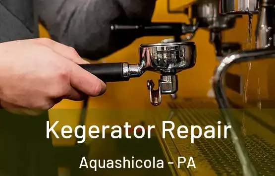  Kegerator Repair Aquashicola - PA