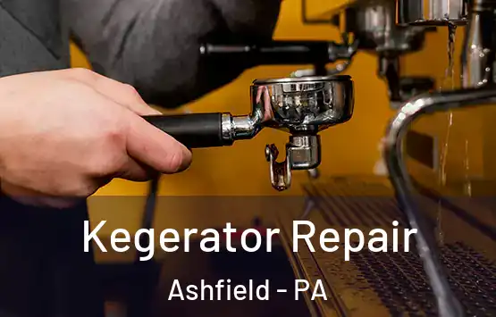  Kegerator Repair Ashfield - PA