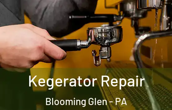  Kegerator Repair Blooming Glen - PA