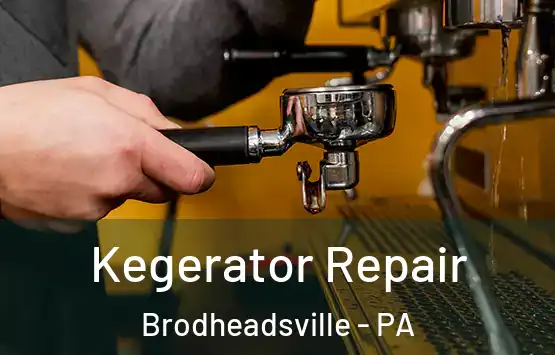  Kegerator Repair Brodheadsville - PA