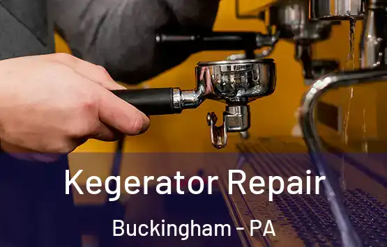  Kegerator Repair Buckingham - PA