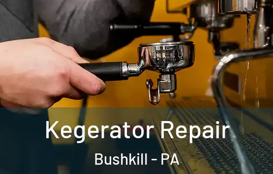  Kegerator Repair Bushkill - PA