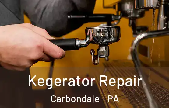  Kegerator Repair Carbondale - PA