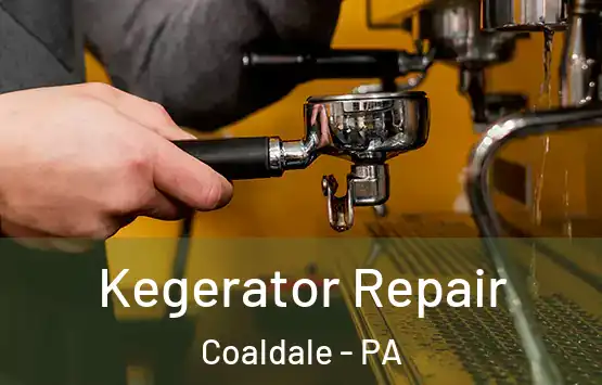  Kegerator Repair Coaldale - PA