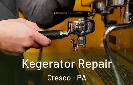  Kegerator Repair Cresco - PA