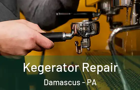  Kegerator Repair Damascus - PA