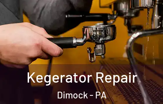  Kegerator Repair Dimock - PA