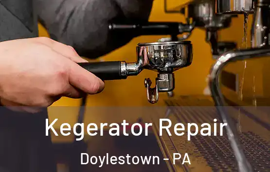  Kegerator Repair Doylestown - PA