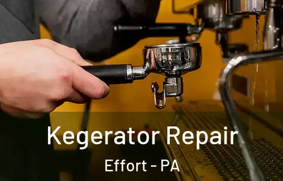  Kegerator Repair Effort - PA