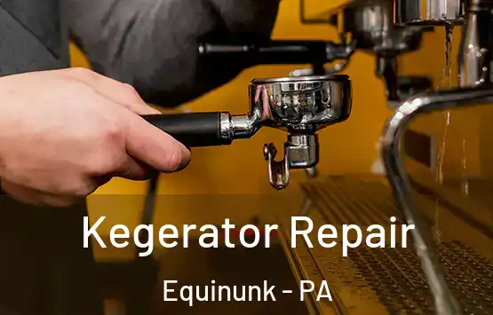  Kegerator Repair Equinunk - PA