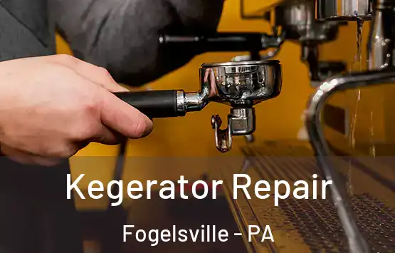  Kegerator Repair Fogelsville - PA