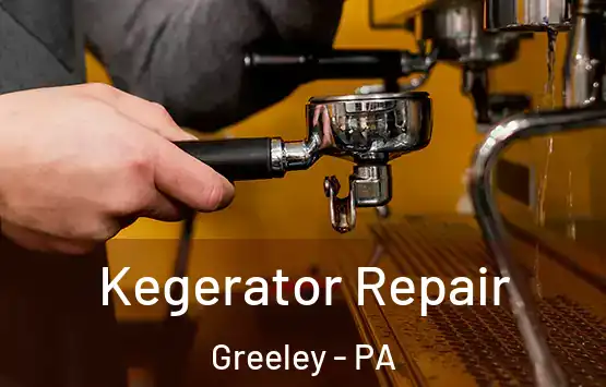  Kegerator Repair Greeley - PA
