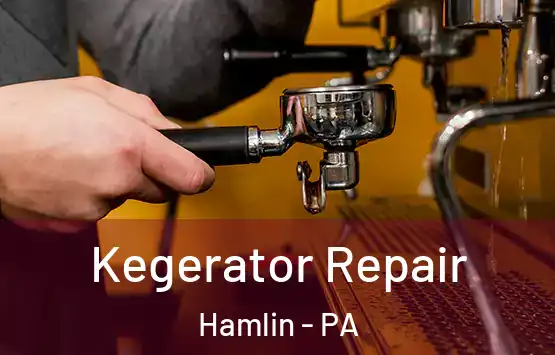  Kegerator Repair Hamlin - PA